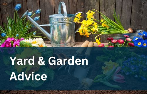 Yard & Garden Advise